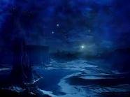 images_311
